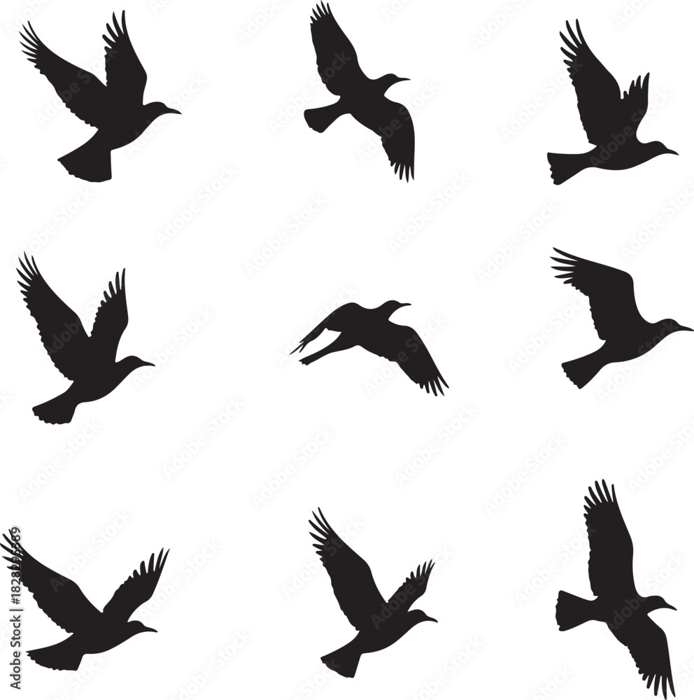Naklejka premium Nine black bird silhouettes in flight on white background