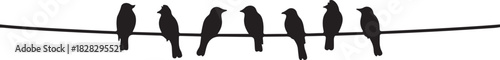 Seven black bird silhouettes perched on a thin black wire