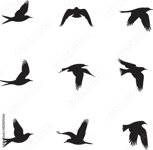Nine black bird silhouettes in various flying poses
