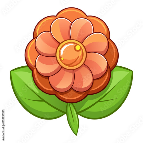 penny flower on white background