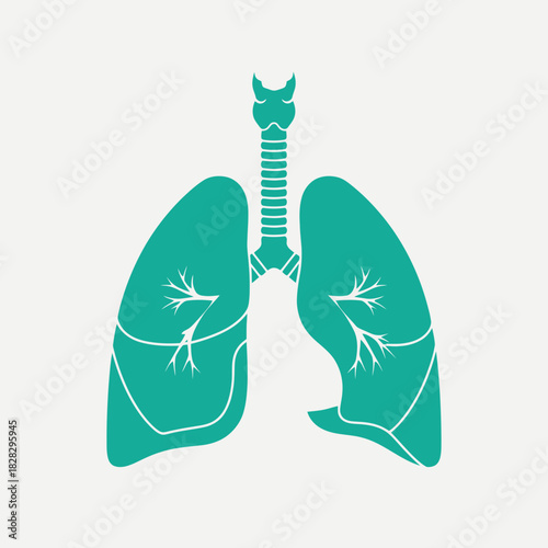 Teal lungs and trachea diagram with white outlines.