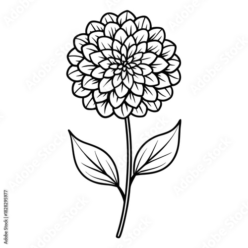 black and white flower