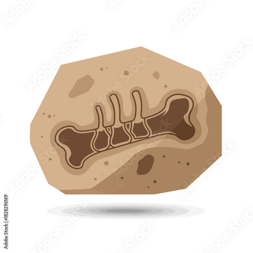 Fossilized bone embedded in rock, showing ancient life.