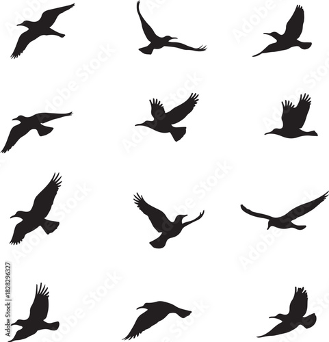 Twelve black bird silhouettes in various flight poses