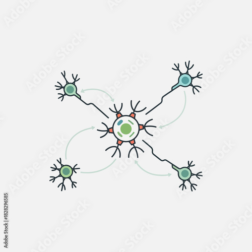 Neurons with branching dendrites and axons connected by arrows.