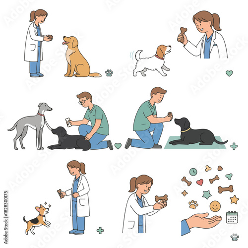 Veterinarian and dogs interaction with transparent background