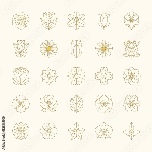 Set of refined geometric flower vector icons featuring various botanical elements in a clean, sophisticated line art style, ideal for modern design projects and elegant branding