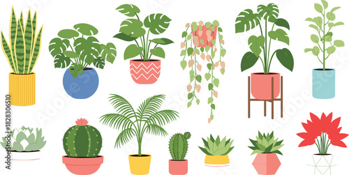 Set of colorful potted houseplants collection, including snake plants, monstera, palm, cactus, and various succulents for interior home decoration vector
