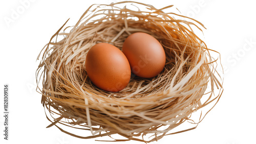 Two brown eggs nestled in a rustic straw nest