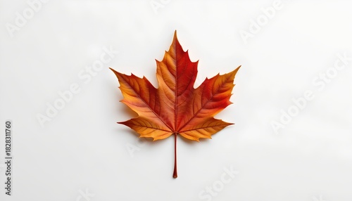 A single, vivid red maple leaf against a neutral background.