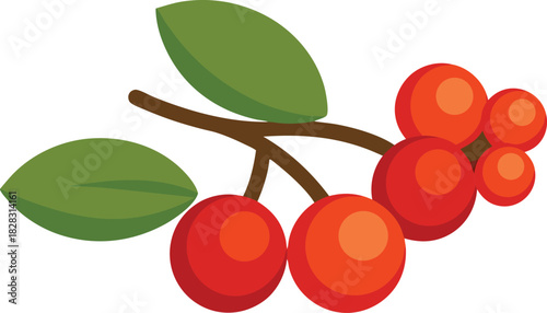 Illustration of bright red berries and green leaves on a branch