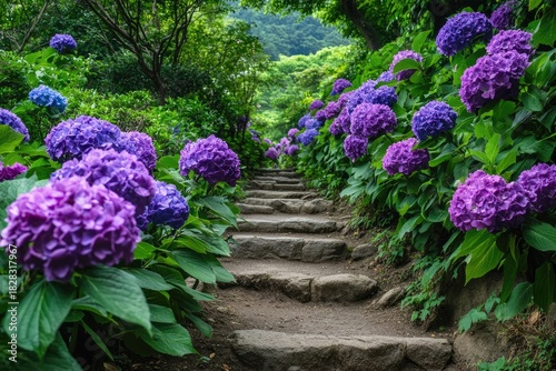 A serene garden path meanders through a lush landscape of vibrant purple hydrangeas, their delicate blooms cascading down the stone steps that guide the viewer's eye.