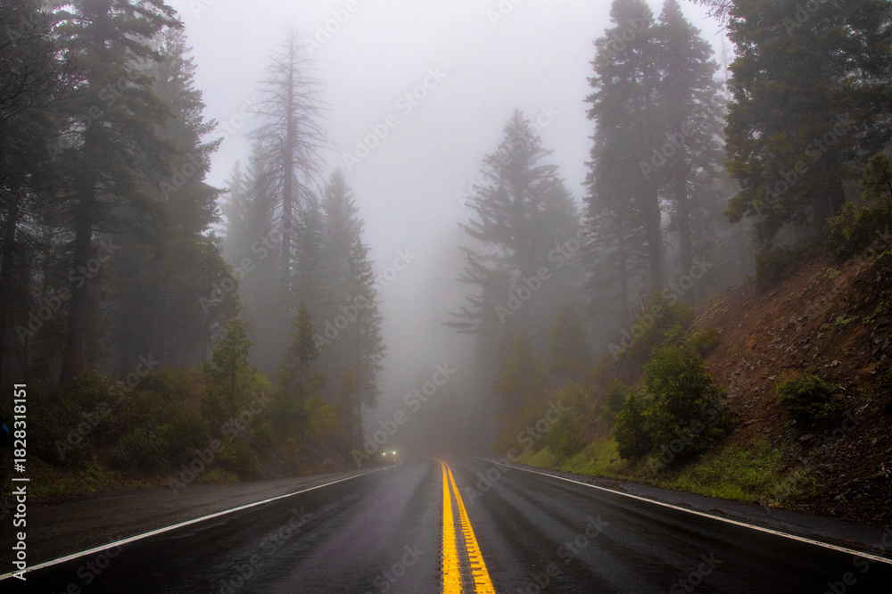 Naklejka premium Foggy Forest Road With Mist and Yellow Lines