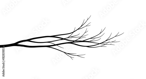 Stylized black and white silhouette of a tree branch with intricate details against a clean