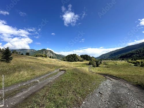 Expansive rural trails crossing lush fields under clear sky