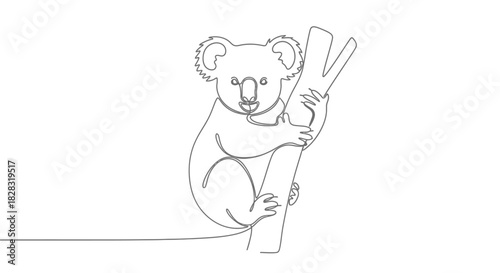 Minimalist koala bear line drawing clinging to eucalyptus branch for designs and illustrations