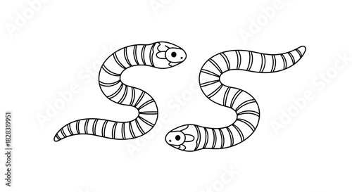 Two cute cartoon worms or caterpillars with big eyes and segmented bodies, presented in a black and white line art coloring page style.