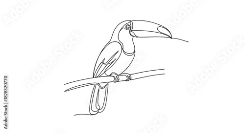 Elegant minimalist line art of a toucan perched on a branch showcasing simplicity and grace