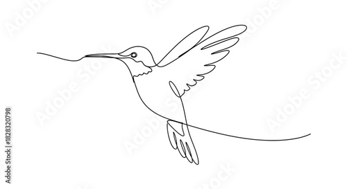 Elegant minimalist line art featuring a hummingbird in flight conveying freedom and grace