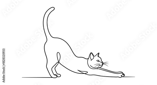 Elegant feline stretch single line drawing capturing the grace of a cat stretching its body