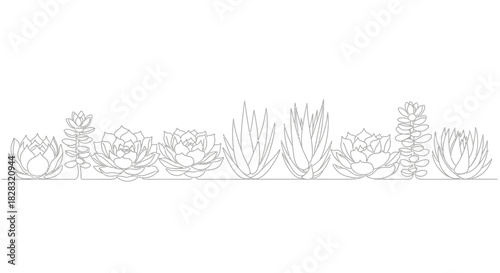 Elegant continuous line drawing of succulents and aloe vera plants isolated on white background