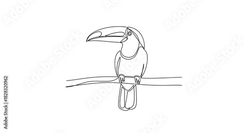 Elegant continuous line drawing of a majestic toucan perched on a branch tropical beauty