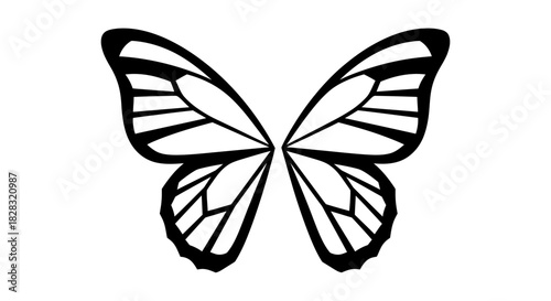 Elegant butterfly wings isolated on white for design or decoration purpose