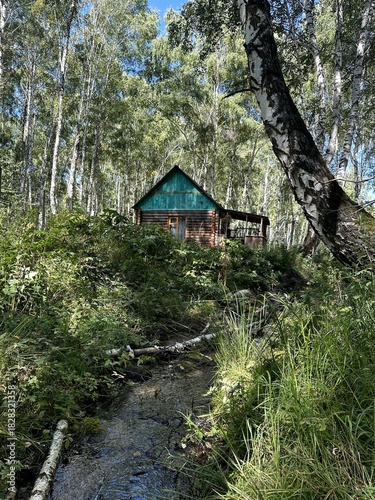 Cabin by forest creek, Secluded woodland cabin with peaceful