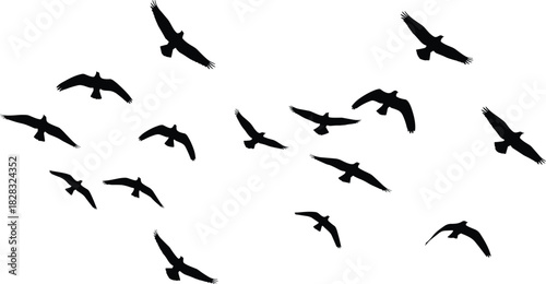 Flock of flying birds silhouette, black isolated shapes on white background, vector illustration of migration, nature, freedom, wild animal life