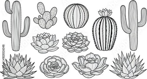 Autumn park bench with fallen leaves isolated on white background. Fall season illustration.