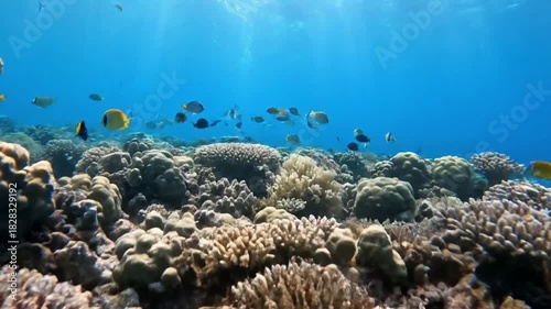 Wallpaper Mural Serene and Majestic Ocean Depths Revealing Untouched Natural Wonders Conveying a sense of wonder and tranquility through a wide shot that highlights the vastness and untouched purity of the? Torontodigital.ca