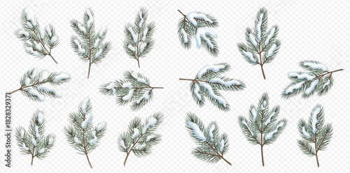 Set of realistic spruce branches covered with snow, isolated on transparent background, perfect for winter holiday designs.