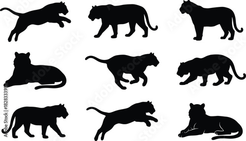 Tiger silhouette icon set, dynamic black poses of wild feline motion, strength, and grace for wildlife design themes