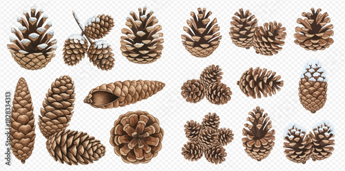 Collection of realistic pine cones with and without snow, natural winter forest elements.