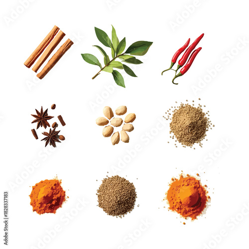 Aromatic Natural Spices and Fresh Herbs Collection Top View Food Ingredients