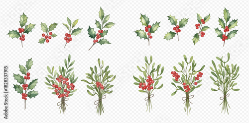 Watercolor illustrations of festive holly and mistletoe branches with red berries, perfect for Christmas and winter holiday designs.