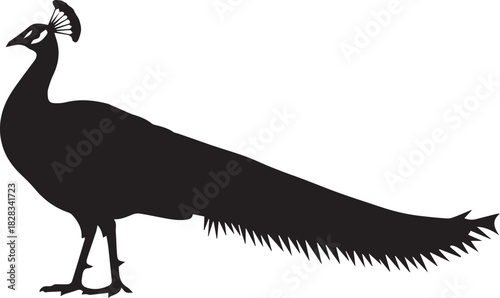 peacock side view silhouette vector flat illustration design