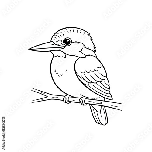 kingfisher  on branch