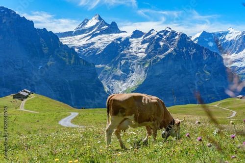 Tapety artystyczne スイスの絶景