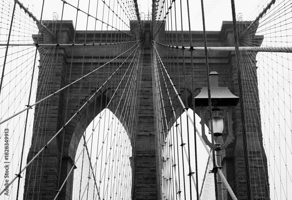 Fototapeta premium Vines