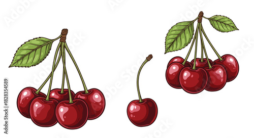 Two bunches of ripe red cherries with green leaves on a white background.
