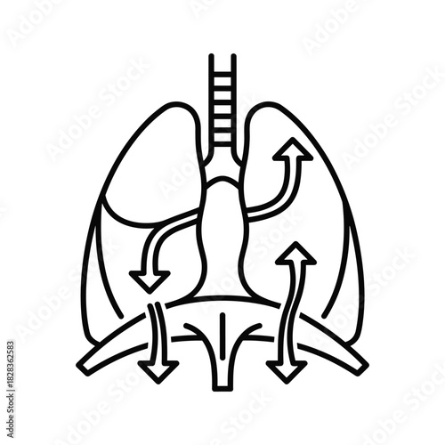Explore the human lung anatomy with this clear illustration of respiratory airflow, perfect for medical education and health awareness campaigns