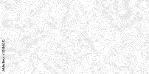 Minimal white line geometric grid outline curve counter map and wavy topography relief discovery area white, black line texture background.	