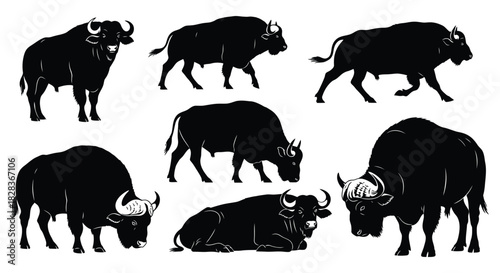 Wild buffalo and bison silhouettes in different poses