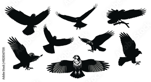Majestic eagle silhouettes in various flight and perching poses