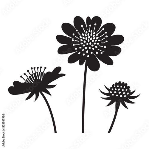 Elegant Black and White Floral Silhouette with Delicate Details on White Background