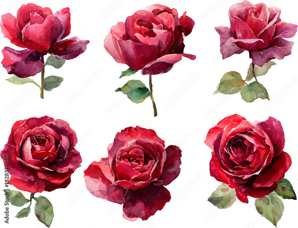 Fototapeta premium set of red roses isolated