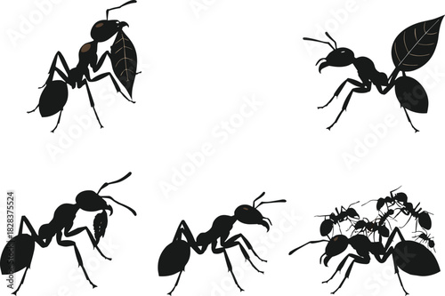 Cartoon ants in five poses showing flight, leaf carrying, crawling, and group interaction, insect character illustration, nature concept, white background