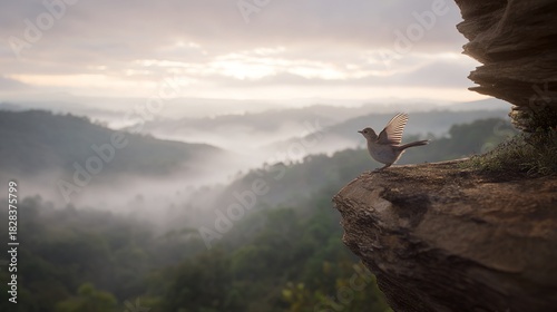 successor. A young bird flaps its wings at a misty cliff edge. wildlife magazines, conservation campaigns, designed for wildlife conservation campaigns, supports conservation.