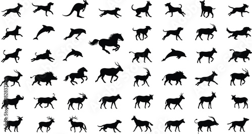 Animal silhouette set, vector illustration collection of dog, horse, dolphin, deer and wildlife, black shapes isolated on white background, zoo nature design elements.